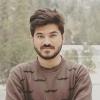 Saleem I.