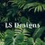 LS D.