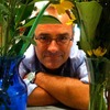 Greg A.