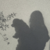 Ine -.