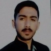 Kamran H.