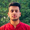 Mujtaba H.