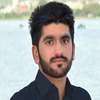 Moheen K.