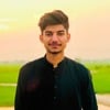 Muhammad Nasir B.