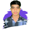 Md Habibur R.