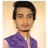 Mudassir S.