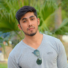 Muhammad Taimoor S.