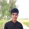 Md Mehedi H.