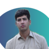 Syed Zarrar J.