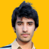 Aamir S.