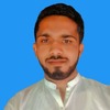 Zulqar N.