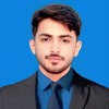Zulqarnain H.