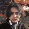 Mohammad Tashfeen Z.
