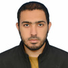 M Hamza S.