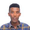 Alemu T.