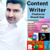 Shoaib S.