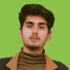 Faizan H.
