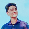 Md. Shahriar N.