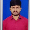 Radhakrishna P.