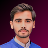 Muhammad Talha Z.