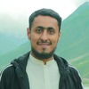 Ali H.