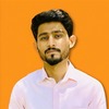 Muhammad Faizan T.