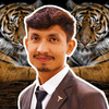 Talha N.