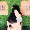 Areej M.