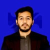 Muzammil Waqar S.
