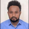 Misganu T.