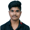 Naresh K.