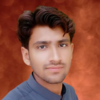 Muhammad Shahid H.