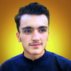 Faizan U.