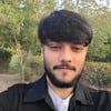 Hameed F.