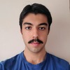 Huseyin T.