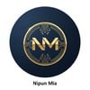 Nipun M.