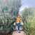 Imalsha M.