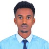 Berhane T.