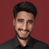 Muhammad Salman N.