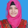 Zaib Un N.