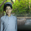 Abubakar N.