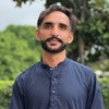 Zulqurnain H.