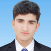 Hamid M.