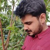Mayank S.