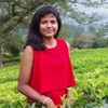 Lakdini P.