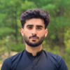 Awais K.