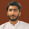 Malik Muhammad Haider S.