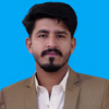 Hamza A.