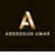 Adedokun U.