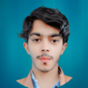 Haidar R.